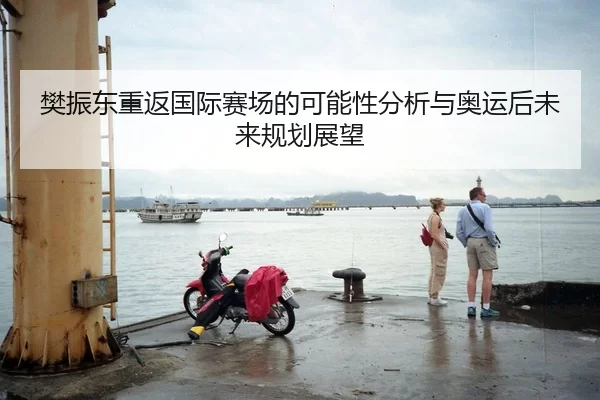 樊振东重返国际赛场的可能性分析与奥运后未来规划展望