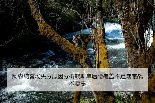 阿森纳客场失分原因分析赖斯单后腰覆盖不足暴露战术隐患