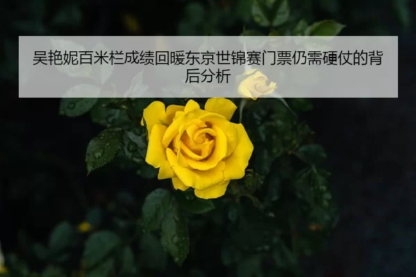 吴艳妮百米栏成绩回暖东京世锦赛门票仍需硬仗的背后分析