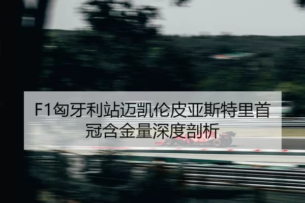 xiong-ya-li-zhan-mai-kai-lun-pi-ya-si-te-li-shou-guan-han-jin-liang-shen-du-pou-xi-2-134.jpg