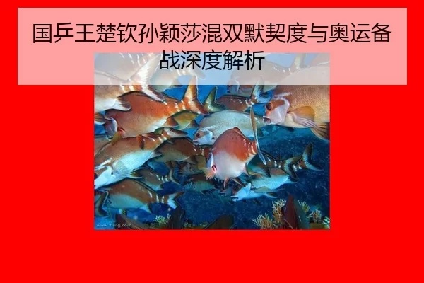 guo-ping-wang-chu-qin-sun-ying-sha-hun-shuang-mo-qi-du-yu-ao-yun-bei-zhan-shen-du-jie-xi-2-285.jpg