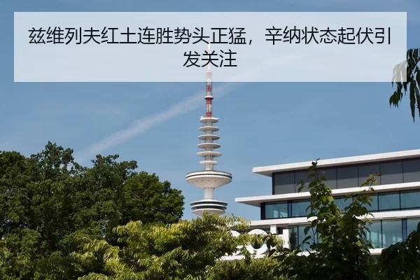 兹维列夫红土连胜势头正猛，辛纳状态起伏引发关注